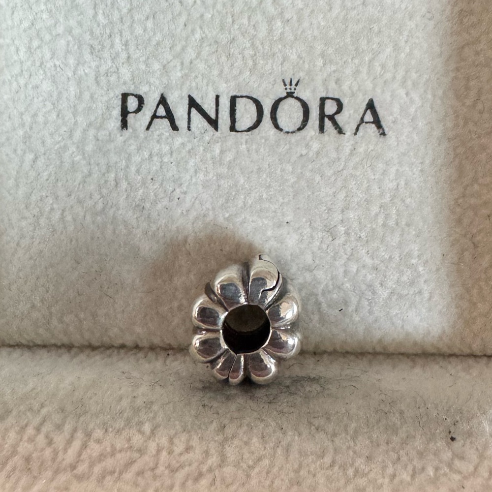 Pandora Ribbed Clip - Picture 2 of 3